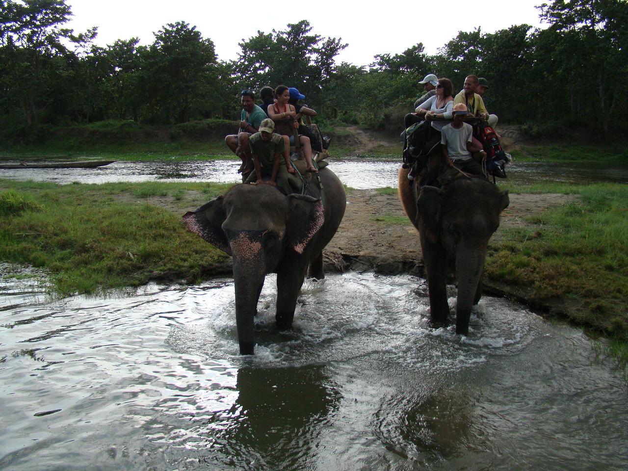 chitwan_elephant_safari158.jpg