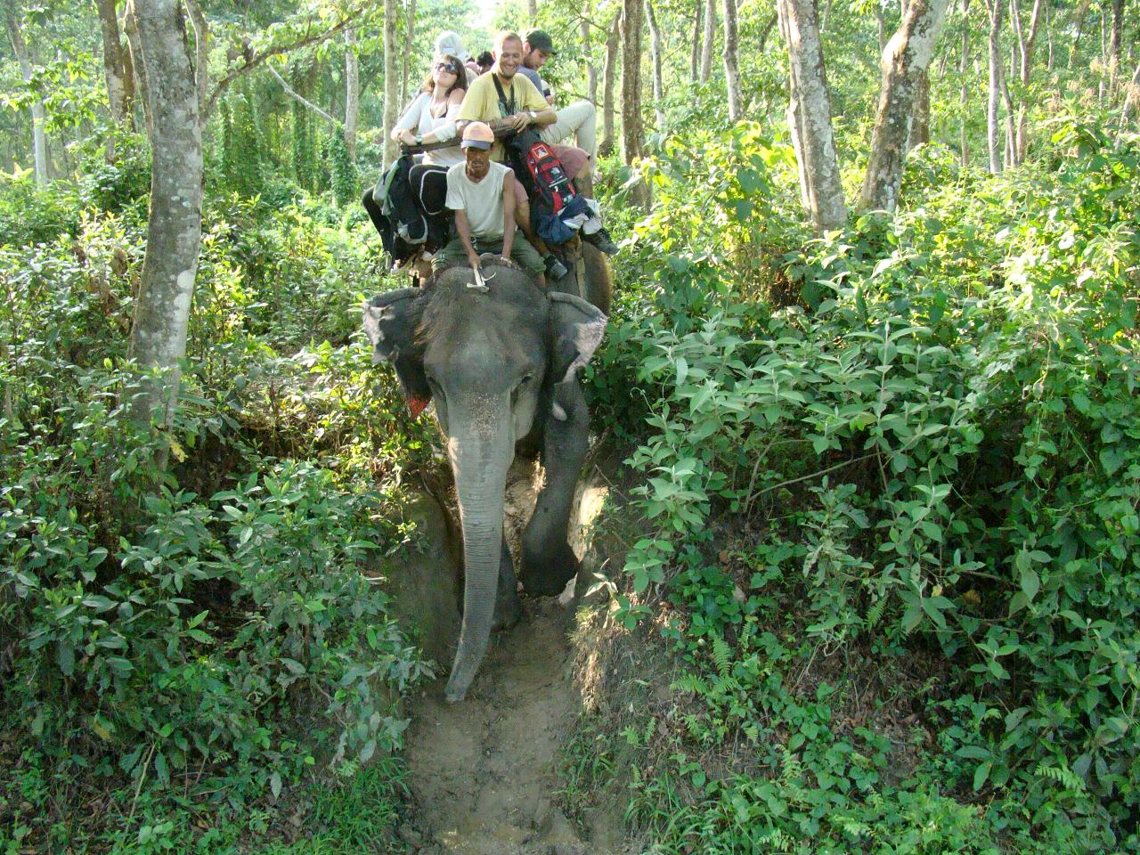 chitwan_elephant_safari189.jpg