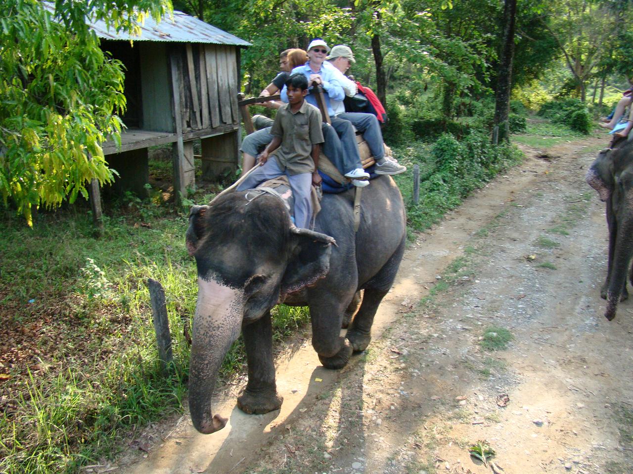 chitwan_elephant_safari195.jpg