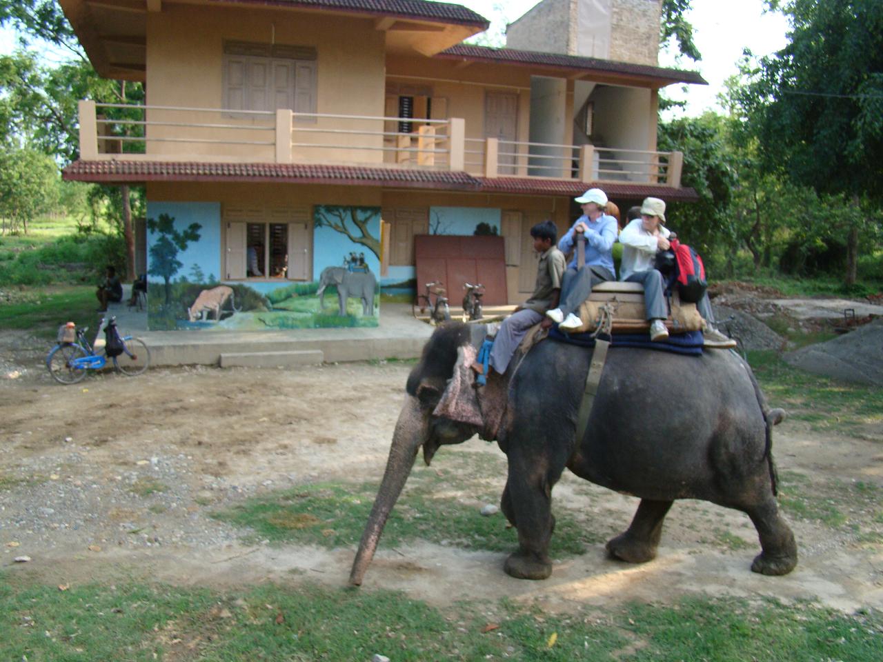 chitwan_elephant_safari197.jpg