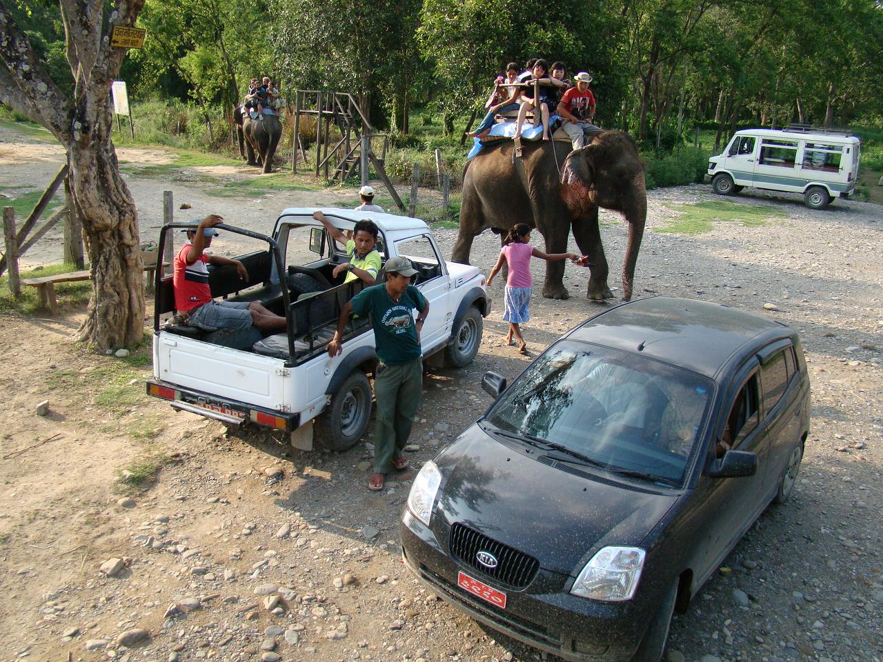 chitwan_elephant_safari200.jpg