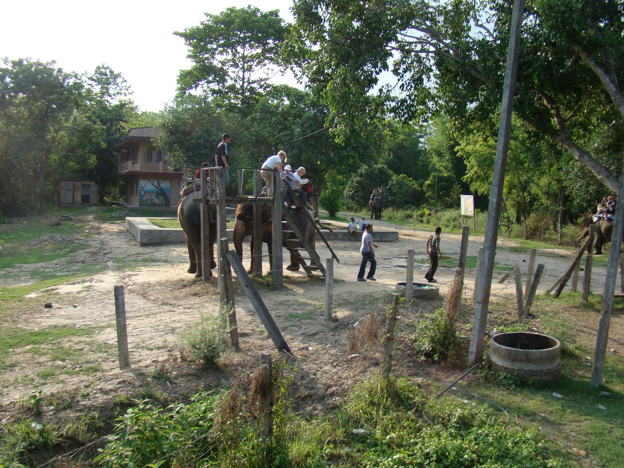 chitwan_elephant_safari201.jpg