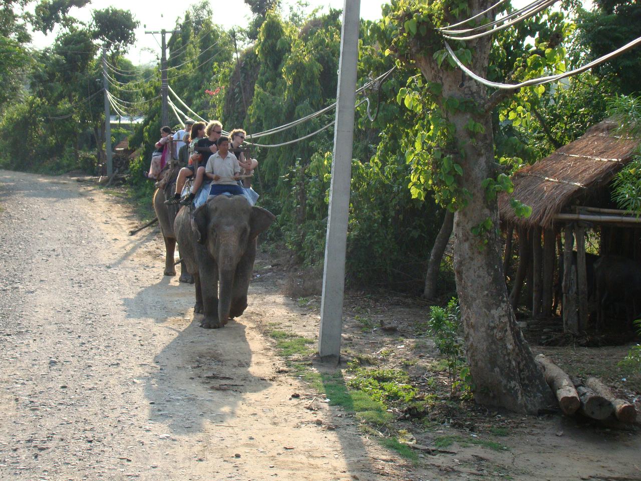 chitwan_elephant_safari220.jpg