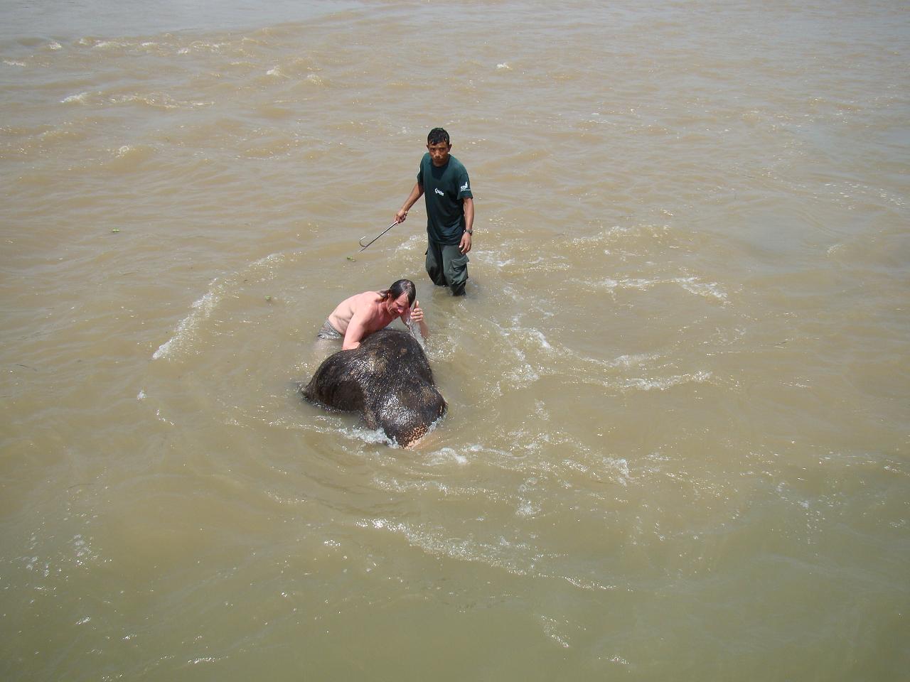 chitwan_elephants_bathing026.jpg