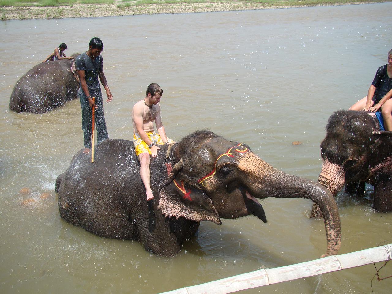 chitwan_elephants_bathing040.jpg