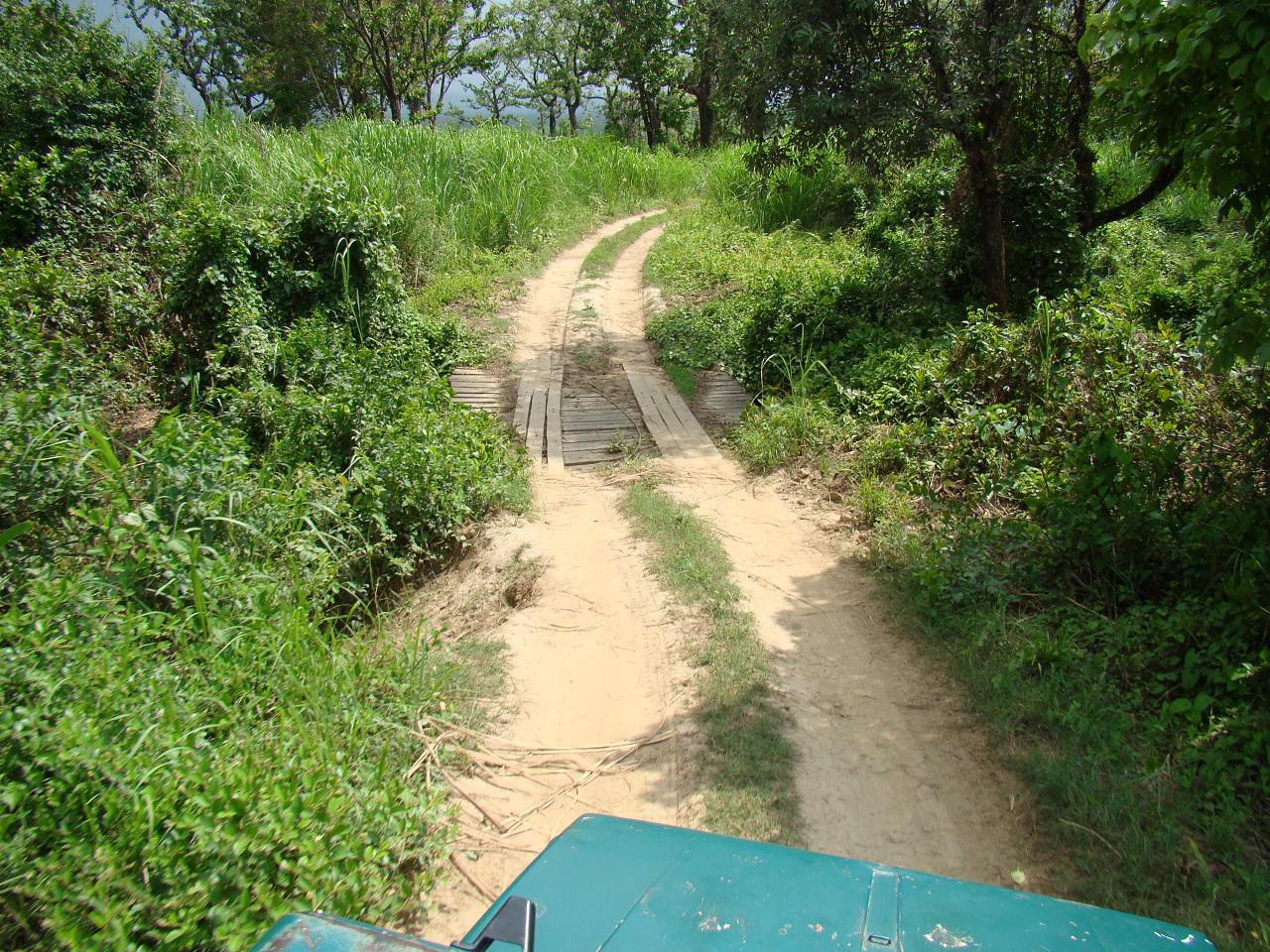 chitwan_jeep_safari018.jpg