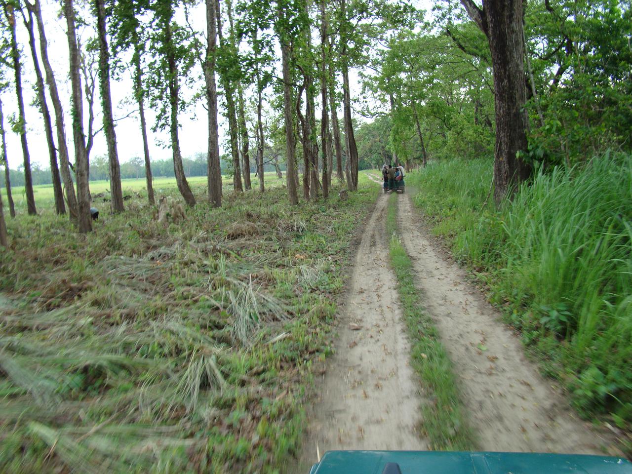 chitwan_jeep_safari039.jpg