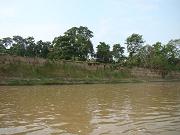 chitwan_canoe_safari042.htm