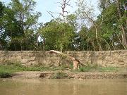 chitwan_canoe_safari046.htm