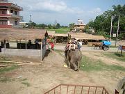 chitwan_elephant_safari001.htm