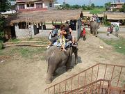 chitwan_elephant_safari002.htm