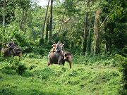 chitwan_elephant_safari019.htm