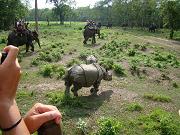 chitwan_elephant_safari033.htm