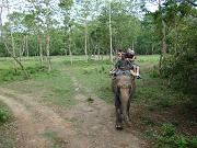 chitwan_elephant_safari062.htm