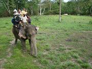 chitwan_elephant_safari072.htm