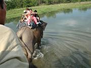 chitwan_elephant_safari090.htm