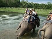 chitwan_elephant_safari092.htm