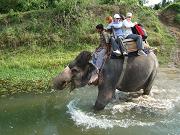 chitwan_elephant_safari098.htm