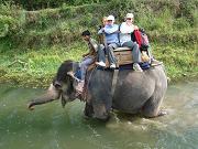 Сафари на слонах в Читване