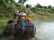 chitwan_elephant_safari103.htm