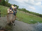 chitwan_elephant_safari113.htm