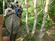 chitwan_elephant_safari119.htm