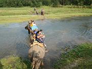chitwan_elephant_safari144.htm