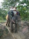 chitwan_elephant_safari146.htm