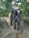 chitwan_elephant_safari147.htm
