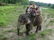 chitwan_elephant_safari161.htm