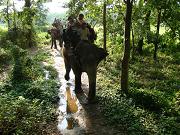 chitwan_elephant_safari167.htm