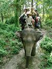 chitwan_elephant_safari171.htm