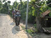 chitwan_elephant_safari220.htm