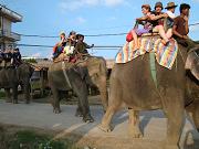 chitwan_elephant_safari238.htm