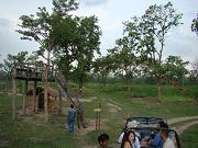 chitwan_jeep_safari028.htm