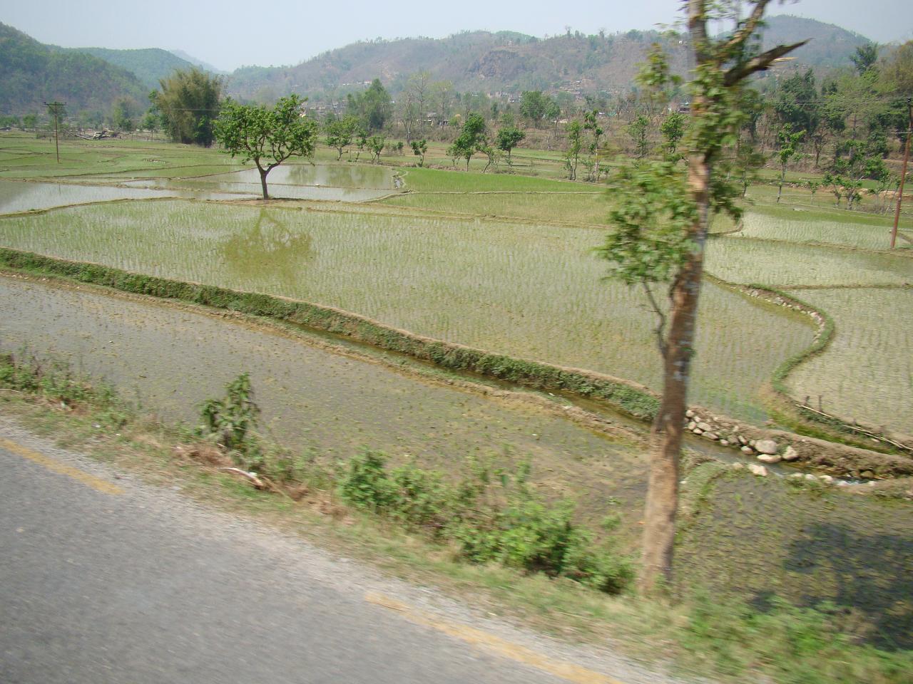 kathmandu_pokhara133.jpg