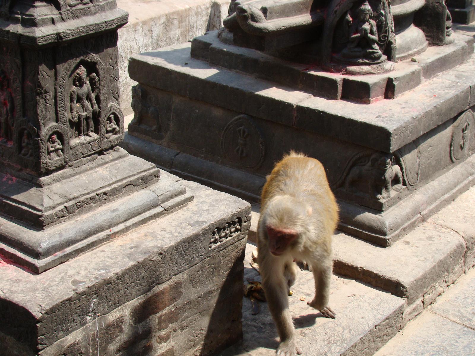 swayambhunath057.jpg