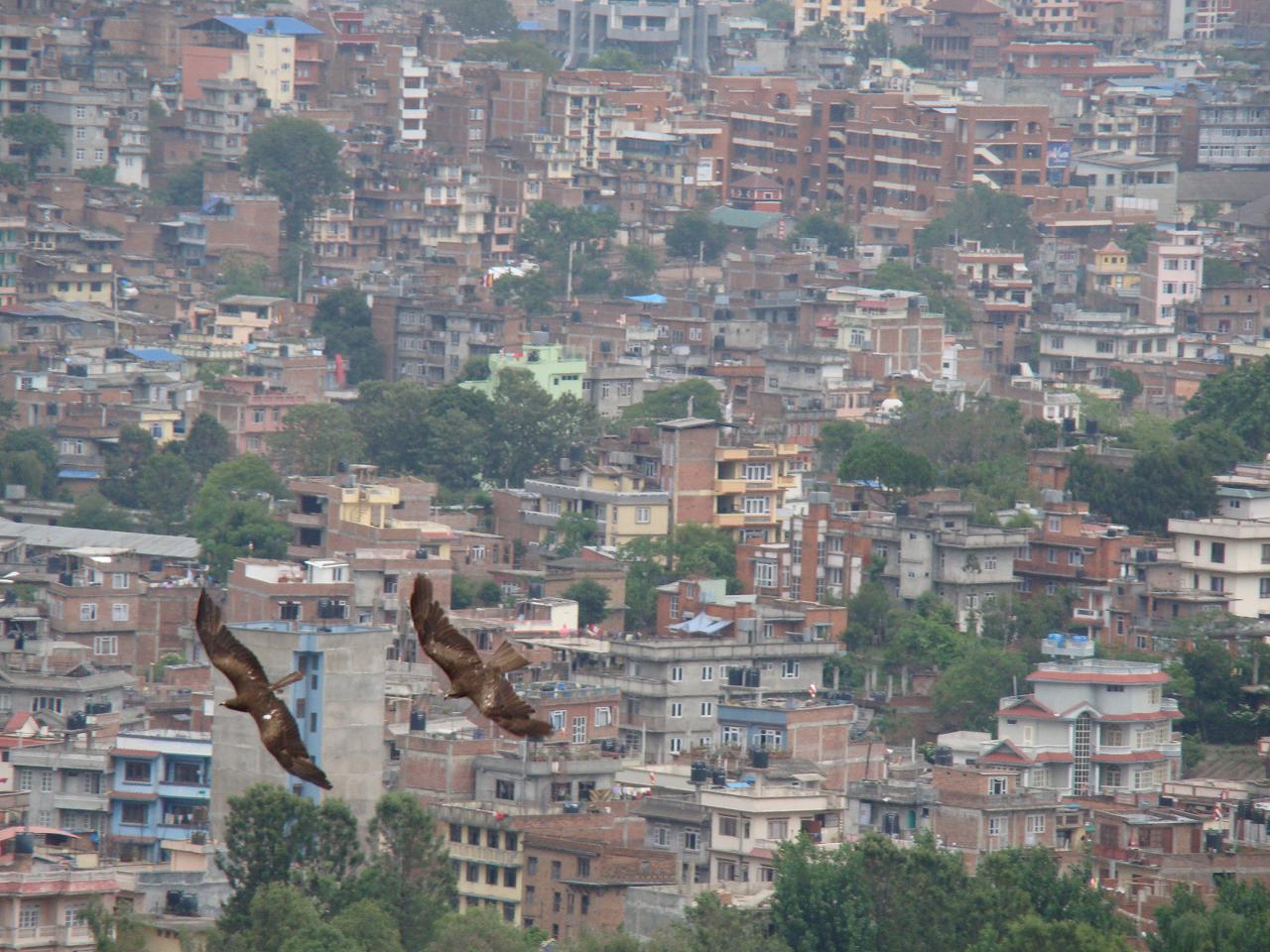 swayambhunath169.jpg