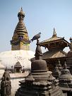 swayambhunath081.htm