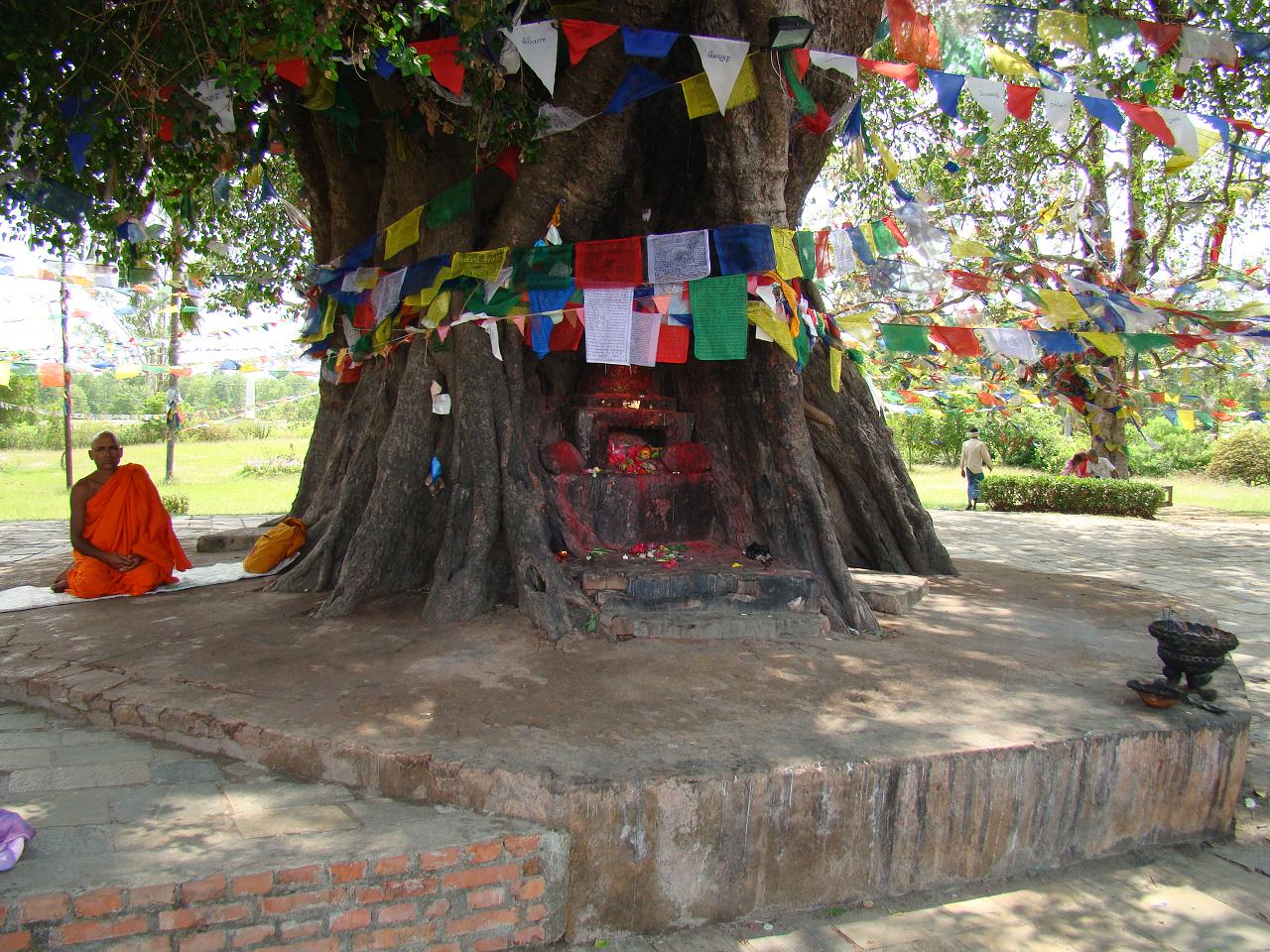 Буддійський монах в Лумбіні (місце народження Будди, Непал)