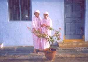 Розовые близнецы, Прашанти Нилаям, 1991 год